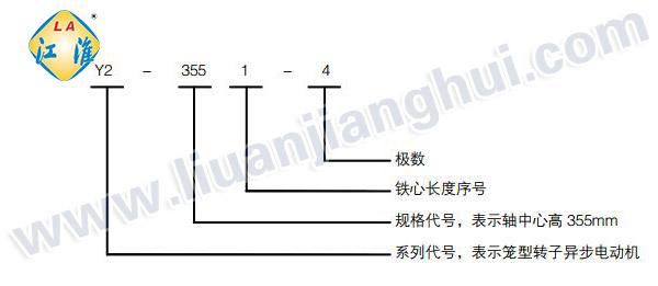 Y2紧凑型高压三相异步电动机_型号意义说明_六安江淮电机有限公司
