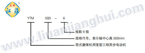 YTM磨煤机用高压三相异步电动机_型号意义说明_六安江淮电机有限公司