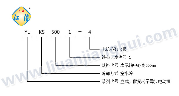 YLKS高压立式三相异步电动机_型号意义说明_六安江淮电机有限公司