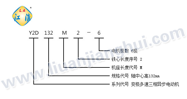Y2D系列变极多速三相异步电动机_型号意义说明_六安江淮电机有限公司